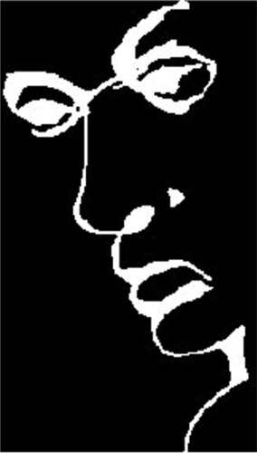 illusion word 03.jpg
